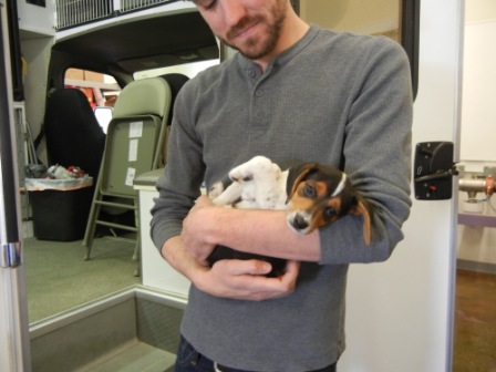 Animal Humane's director of adoptions, Sam Blankenship, holds a Beagle puppy found in a ditch in Roswell. Animal Humane is one of only two shelters in New Mexico that actually takes in animals transported from high-kill shelters elsewhere.