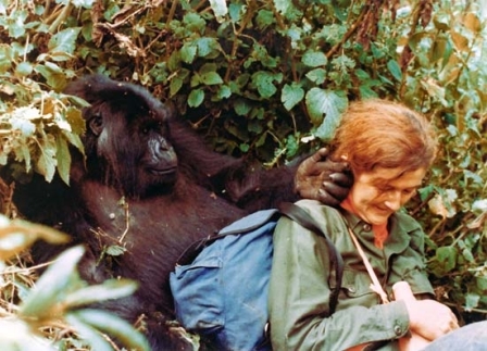 Dian Fossey with the gorilla Puck