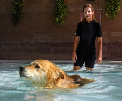 Trainer Linda Johns encourages Gracie in the pool at Enchantment Pet Resort.