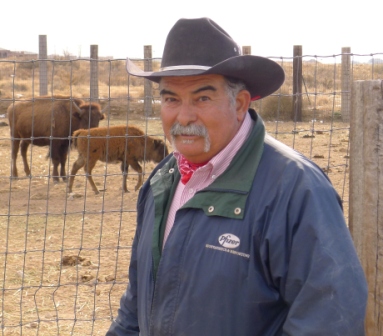 After 15 years of herding bison, Leroy Lovato has learned that these ungulates are a lot meaner and wilder than run-of-the-mill cattle.