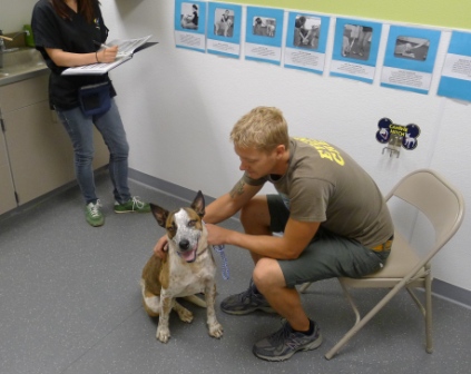 Animal Humane, which sees a high rate of owner surrenders, requires advance appointments and takes a full history before accepting pets. Each one is given a behavioral assessment to improve the chances of a good adoption match.