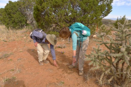 Peter Callen and Renee Robillard find clear signs of a hoof print they recognize as deer in a section of Perdiz Canyon.