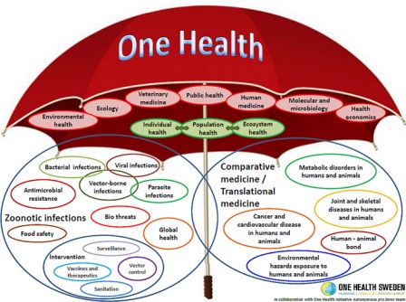 The One Health "umbrella" pictures a worldwide strategy for expanding interdisciplinary collaborations in all aspects of health care for humans, animals and the planet, toward the goal of saving  millions of lives.